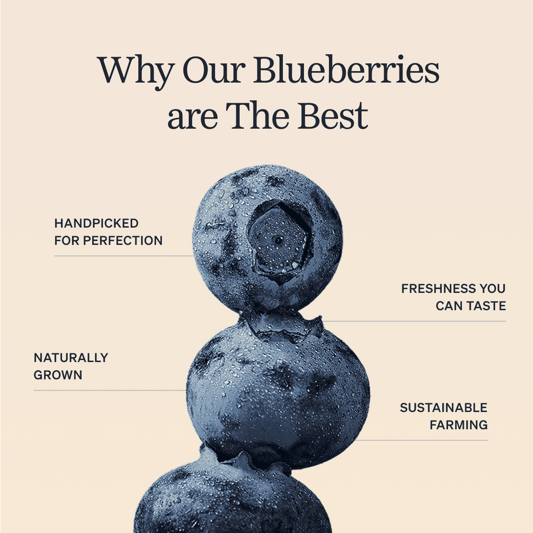 Jumbo Blueberries